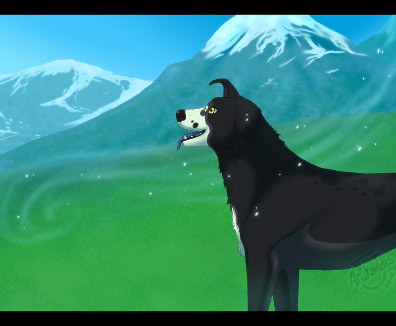 Swiss Alps By Arukardis On Deviantart Swiss Alps By Arukardis On Deviantart