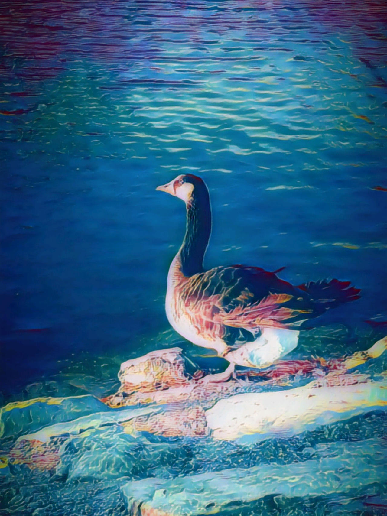 Deviantart Goosed Goose by sales7 on DeviantArt