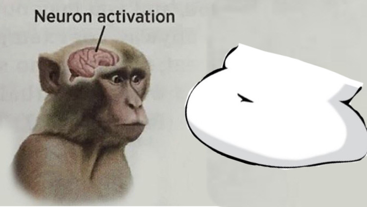 Monkey Meme