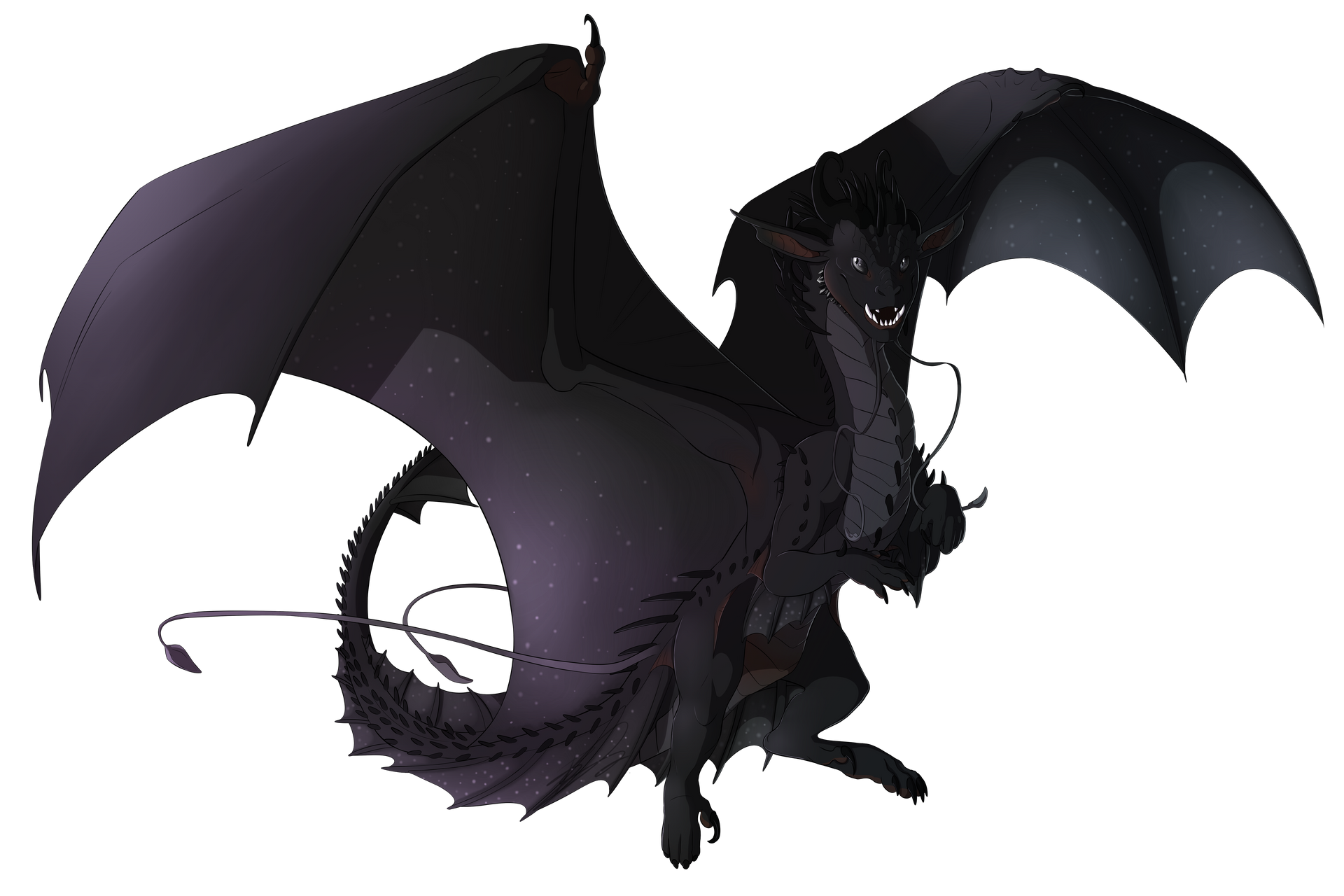 Vextry Ravaryn COM: Vraeryn by Cookiehalo on DeviantArt