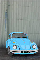 Basic Beetle Vector