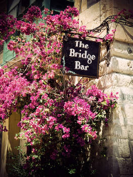 The Bridge Bar