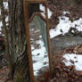 magic mirror