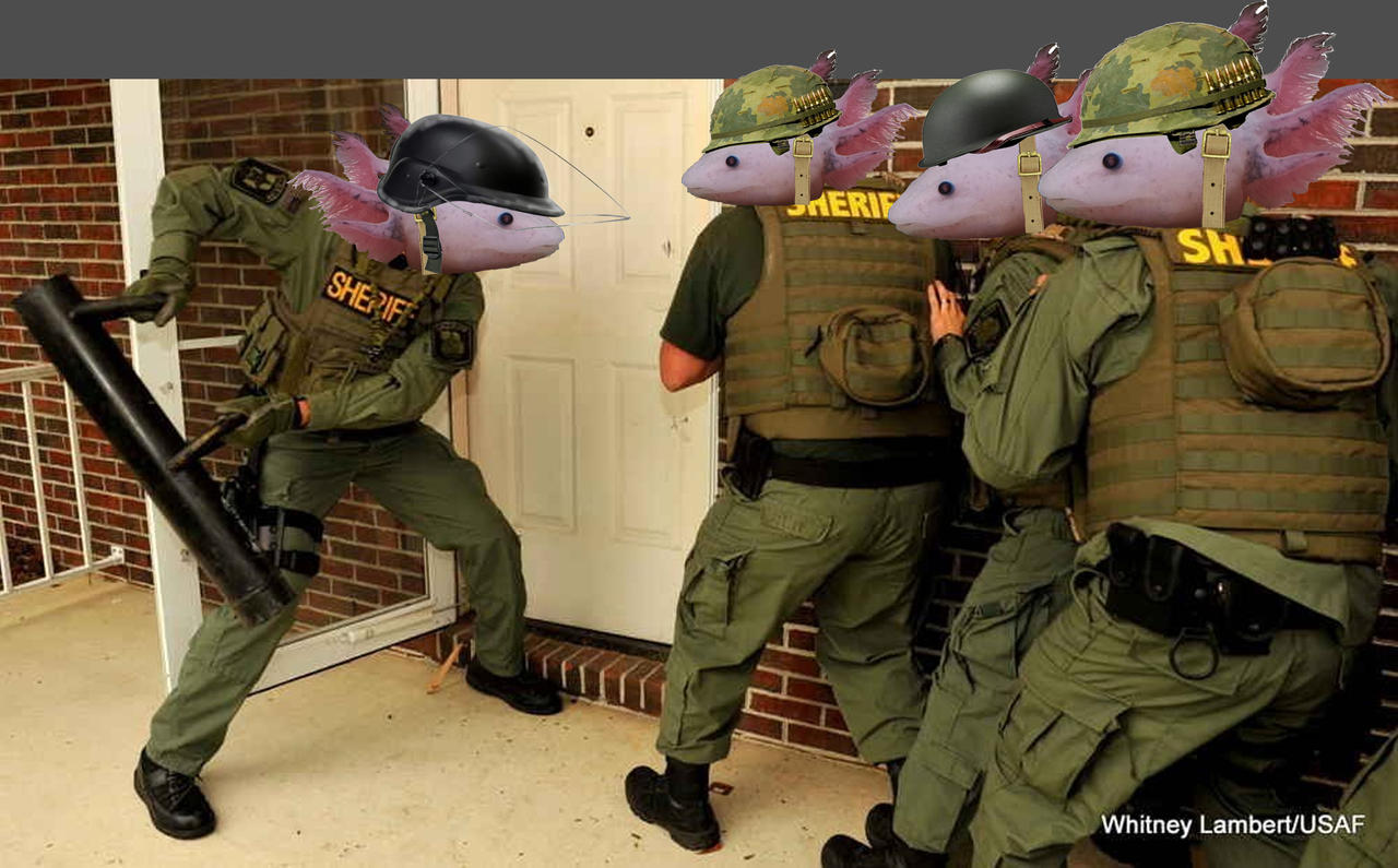 Axolotl Raiders By Alanpruden1371 On Deviantart Axolotl Raiders By Alanpruden1371 On Deviantart