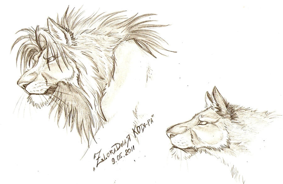 Simba and Nala by Kotya-ra on DeviantArt