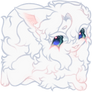 raffle prize