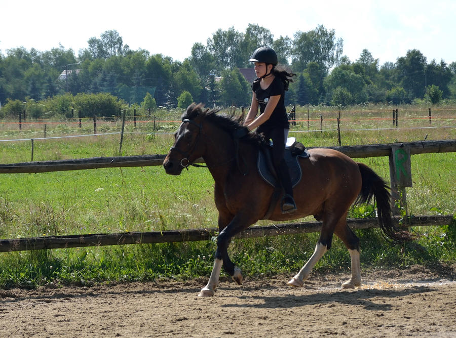 Hajnos Horse Camp 2014 - 6/15