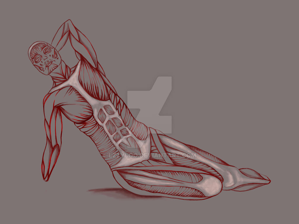 Muscleface Overlay Muscle Overlay by Lzzyloo on DeviantArt