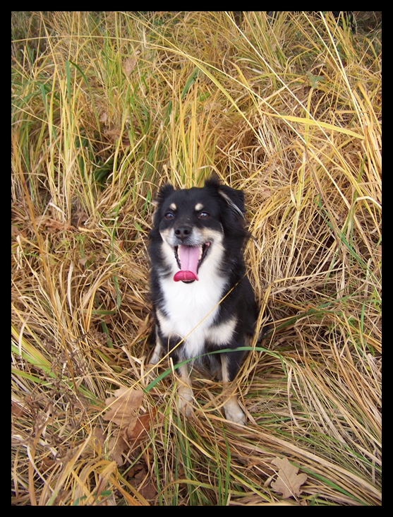 Autumn smile