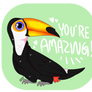 Amazing Toucan