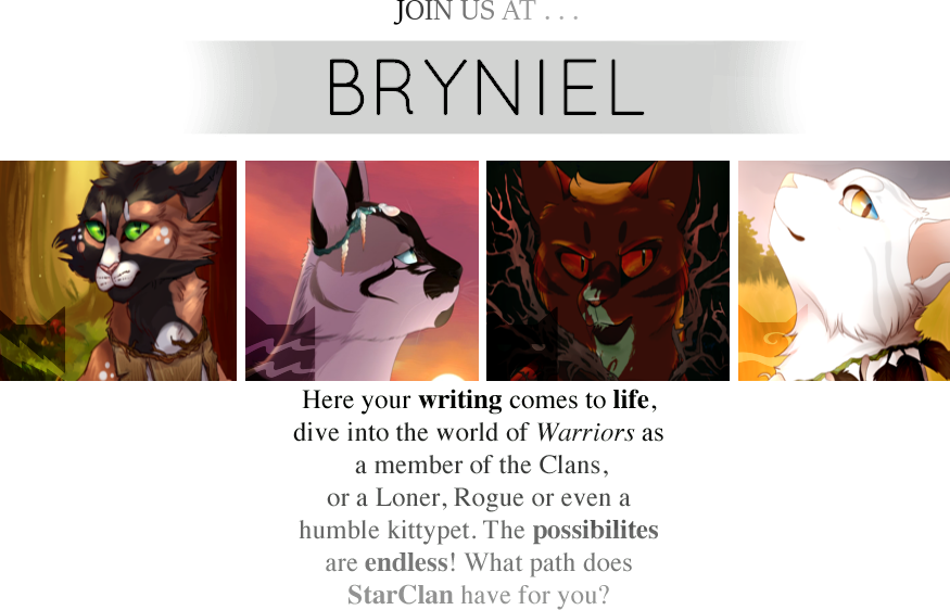 Bryniel Warrior Cats Roleplay By Rowfections On Deviantart Bryniel Warrior Cats Roleplay By Rowfections On Deviantart