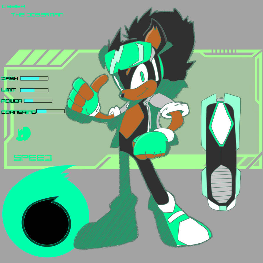 Sonic Rider Ocred Sonic Riders OC Insert by CyberChucks on DeviantArt