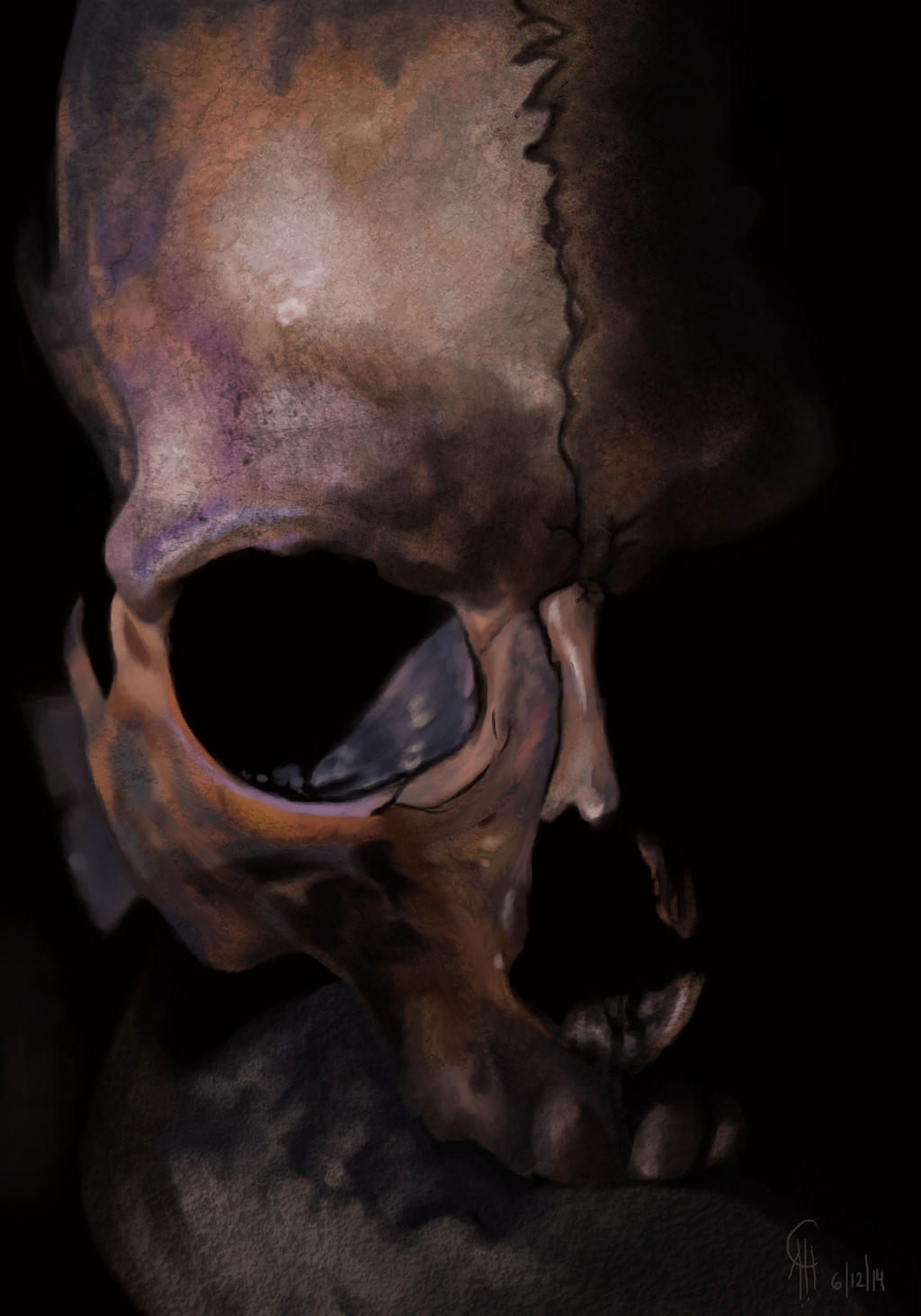 Skull