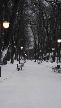 Mikhailovsky garden 2