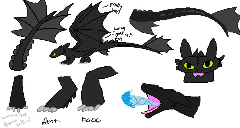 Toothless ref sketches by MintytheKitten on DeviantArt