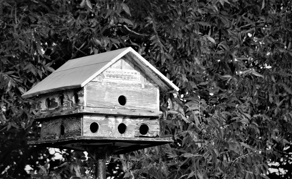 Old Bird House