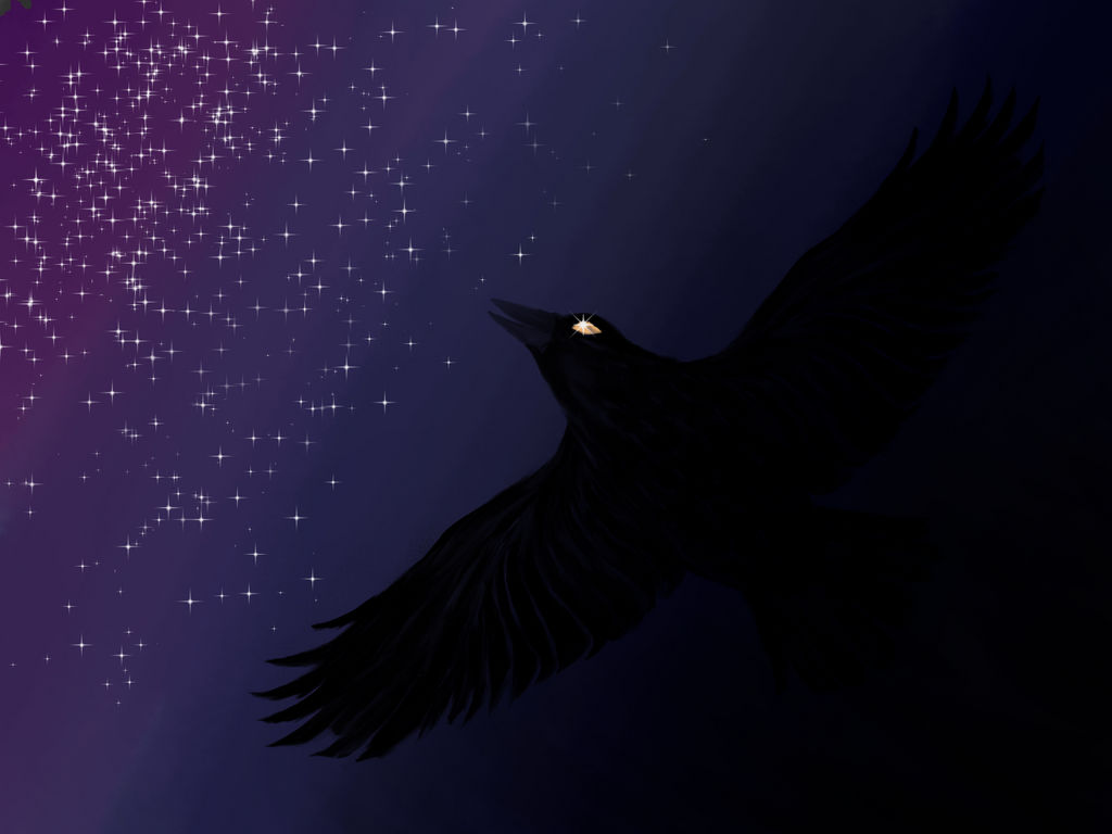 Shadow Raven by Inkheart11250 on DeviantArt