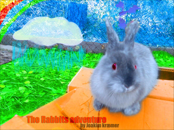 The Rabbits Adventure by Healzo on DeviantArt