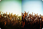 Plants cover the earth by Healzo