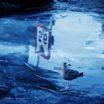 On thin ice by Healzo