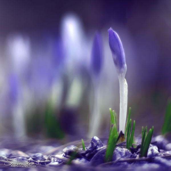 Waiting I by Healzo