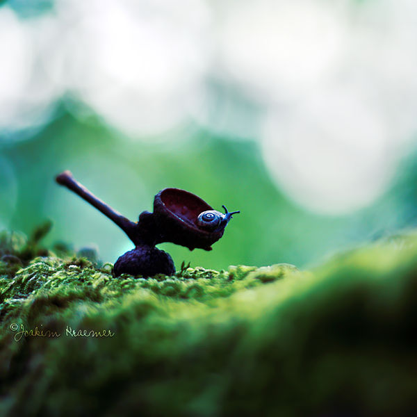 Exploring by Healzo
