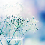 Bright Morning Light by Healzo