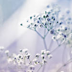 Cold Breath by Healzo