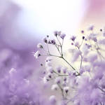 Fall for you by Healzo