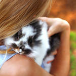 Friendship by Healzo