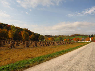 Autumn Country Side