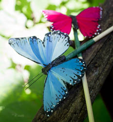 Butterfly Hairsticks