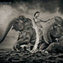 the girl and the elephants