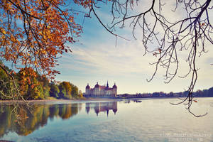golden autumn by naturetimescape