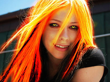 Avril, The Phoenix