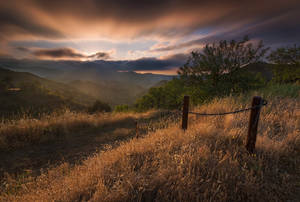 Evening Walk by hateom