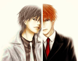 Yuki and Kyo Sohma