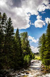 Mountain Stream by JessicaDobbs