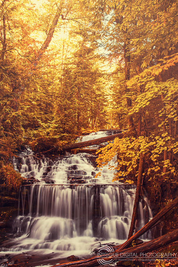 Golden Waterfalls by JessicaDobbs