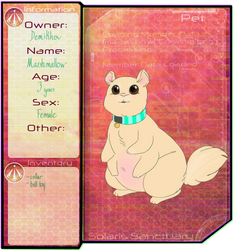 SS, pet: Marshmallow