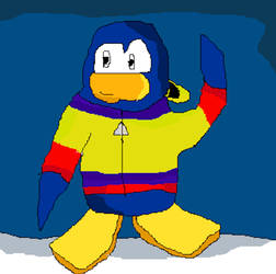 Club Penguin Coat Entry