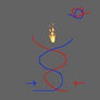 Fire Vortex