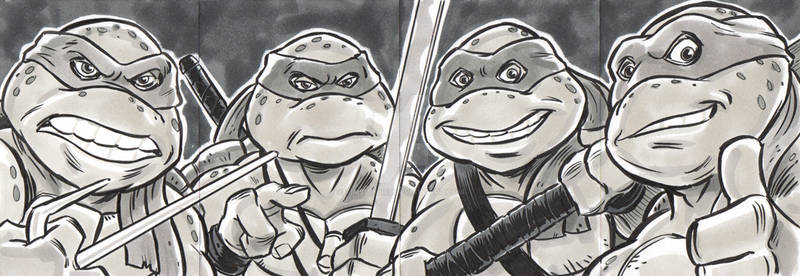 TMNT Sketch Cards