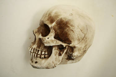 skull side