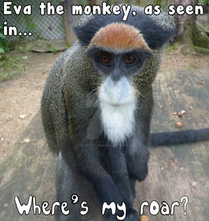 Eva the Monkey