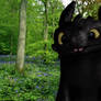 Toothless - Forest Background - More detail