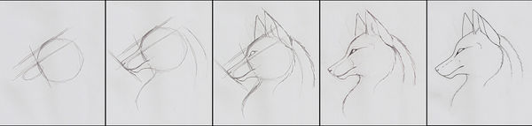 How To Draw - Wolf Head