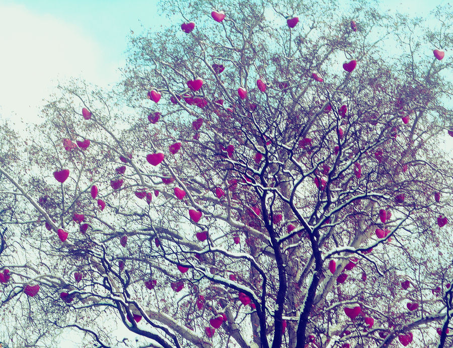 Trees Inkylicious Lovely Tree by bibicsibi on DeviantArt
