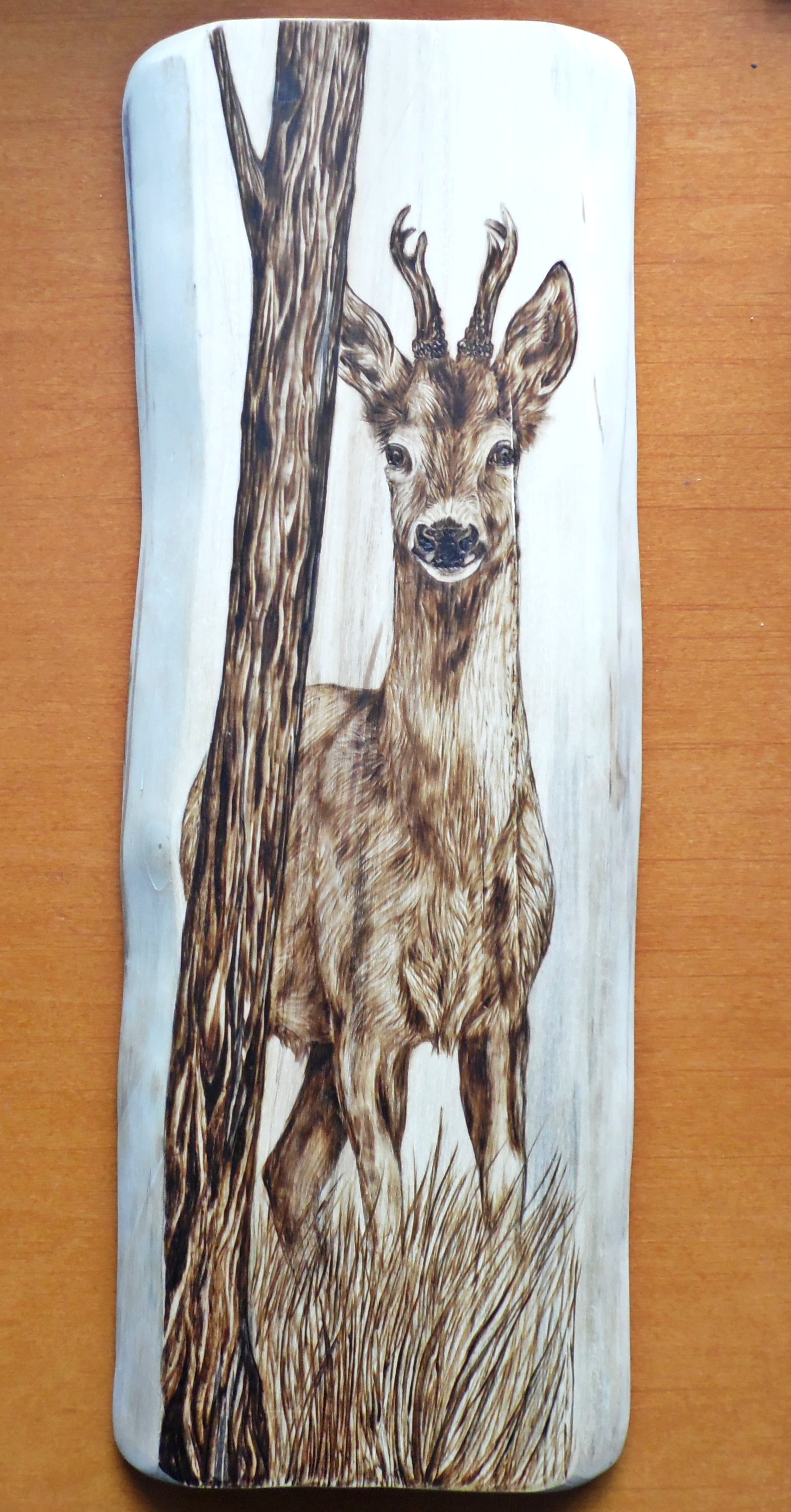 Roe deer buck, pyrography woodburning