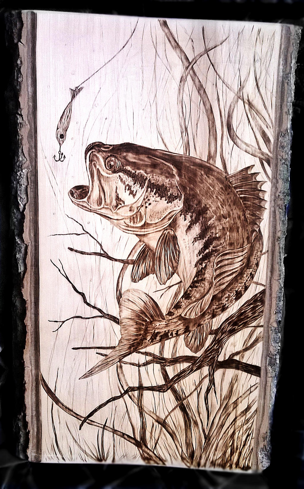 bass fish pyrography woodburning by Art-Caren on DeviantArt